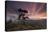 A Dramatic and Colorful Sunset over Sao Francisco Xavier's Farmland-Alex Saberi-Stretched Canvas