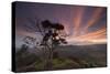 A Dramatic and Colorful Sunset over Sao Francisco Xavier's Farmland-Alex Saberi-Stretched Canvas
