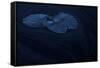 A dream called RA&sup1;m-Allan Wallberg-Framed Stretched Canvas