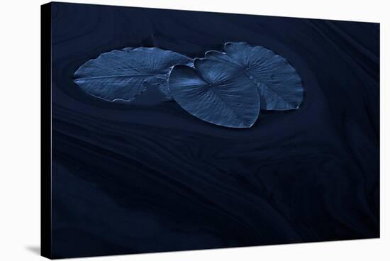 A dream called RA&sup1;m-Allan Wallberg-Stretched Canvas