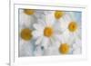 A dreamy feeling-Heidi Westum-Framed Photographic Print