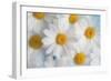 A dreamy feeling-Heidi Westum-Framed Photographic Print