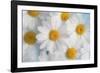 A dreamy feeling-Heidi Westum-Framed Photographic Print