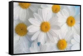 A dreamy feeling-Heidi Westum-Framed Stretched Canvas