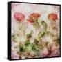 A Dreamy Floral Montage from Three Red Roses-Alaya Gadeh-Framed Stretched Canvas