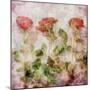 A Dreamy Floral Montage from Three Red Roses-Alaya Gadeh-Mounted Photographic Print
