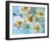 A Dreamy Playful Floral Montage from Acre Flowers, Daisyies and Other Wild Grown Flowers-Alaya Gadeh-Framed Photographic Print