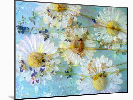A Dreamy Playful Floral Montage from Acre Flowers, Daisyies and Other Wild Grown Flowers-Alaya Gadeh-Mounted Photographic Print
