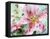 A Dreamy Romantic Floral Montage of a Lily with Petals, Photography, Many Layer Work-Alaya Gadeh-Framed Stretched Canvas
