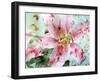 A Dreamy Romantic Floral Montage of a Lily with Petals, Photography, Many Layer Work-Alaya Gadeh-Framed Photographic Print