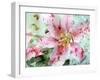 A Dreamy Romantic Floral Montage of a Lily with Petals, Photography, Many Layer Work-Alaya Gadeh-Framed Photographic Print