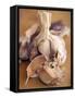 A Dried Garlic Bulb-Steven Morris-Framed Stretched Canvas