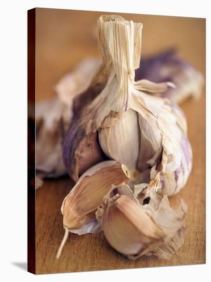 A Dried Garlic Bulb-Steven Morris-Stretched Canvas
