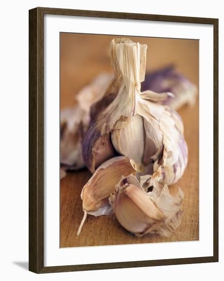 A Dried Garlic Bulb-Steven Morris-Framed Photographic Print