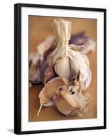 A Dried Garlic Bulb-Steven Morris-Framed Photographic Print