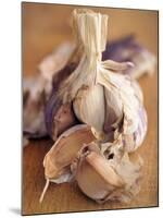 A Dried Garlic Bulb-Steven Morris-Mounted Photographic Print