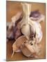 A Dried Garlic Bulb-Steven Morris-Mounted Photographic Print