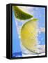 A Drink with Soda Water, Lemon and Ice-null-Framed Stretched Canvas