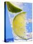 A Drink with Soda Water, Lemon and Ice-null-Stretched Canvas