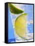 A Drink with Soda Water, Lemon and Ice-null-Framed Stretched Canvas