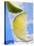 A Drink with Soda Water, Lemon and Ice-null-Stretched Canvas