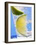 A Drink with Soda Water, Lemon and Ice-null-Framed Photographic Print