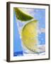 A Drink with Soda Water, Lemon and Ice-null-Framed Photographic Print