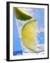 A Drink with Soda Water, Lemon and Ice-null-Framed Photographic Print