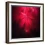 A Drop in the Light-Philippe Sainte-Laudy-Framed Photographic Print