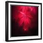 A Drop in the Light-Philippe Sainte-Laudy-Framed Photographic Print