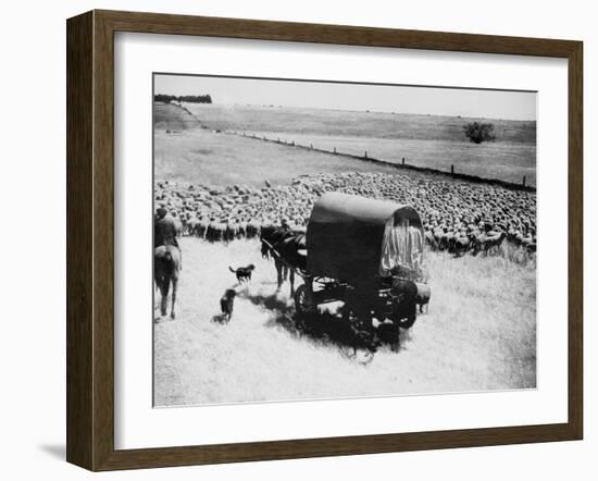 A Drover Travels with His Covered Wagon and Sheep on the Geelong-Baachus Marsh Road-null-Framed Premium Photographic Print