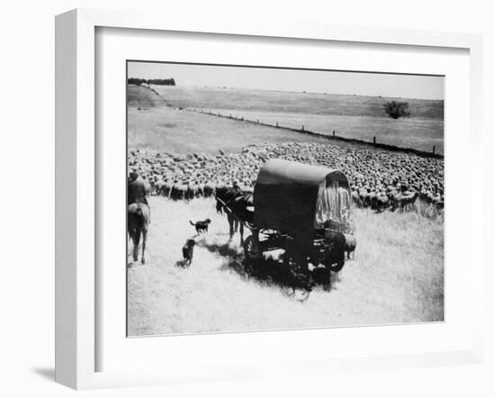 A Drover Travels with His Covered Wagon and Sheep on the Geelong-Baachus Marsh Road-null-Framed Premium Photographic Print
