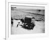 A Drover Travels with His Covered Wagon and Sheep on the Geelong-Baachus Marsh Road-null-Framed Photographic Print