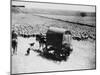 A Drover Travels with His Covered Wagon and Sheep on the Geelong-Baachus Marsh Road-null-Mounted Photographic Print