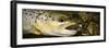 A Dry Fly Caught Brown Trout from a Small Mountain Stream in Utah in Late Summer.-Clint Losee-Framed Premium Photographic Print