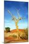 A Dry Tree in the Namib Dessert in Namibia in Africa-tish1-Mounted Photographic Print