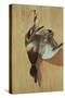A Duck on a Pine Table-Jean-Jacques Bachelier-Stretched Canvas