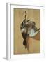 A Duck on a Pine Table-Jean-Jacques Bachelier-Framed Giclee Print