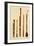 A Dulcian, an Oboe, a Bassoon, an Oboe da Caccia and a Basset Horn, from 'Musical Instruments'-Alfred James Hipkins-Framed Premium Giclee Print