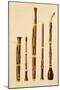 A Dulcian, an Oboe, a Bassoon, an Oboe da Caccia and a Basset Horn, from 'Musical Instruments'-Alfred James Hipkins-Mounted Premium Giclee Print