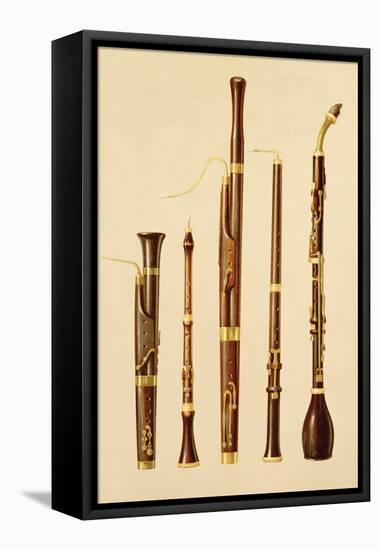 A Dulcian, an Oboe, a Bassoon, an Oboe da Caccia and a Basset Horn, from 'Musical Instruments'-Alfred James Hipkins-Framed Stretched Canvas
