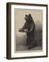 A Dumb Waiter-null-Framed Giclee Print