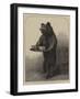 A Dumb Waiter-null-Framed Giclee Print