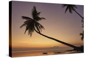A dusk silhouette of coconut palms at Paliton beach, Siquijor, Philippines, Southeast Asia, Asia-Nigel Hicks-Stretched Canvas