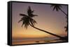 A dusk silhouette of coconut palms at Paliton beach, Siquijor, Philippines, Southeast Asia, Asia-Nigel Hicks-Framed Stretched Canvas