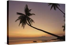 A dusk silhouette of coconut palms at Paliton beach, Siquijor, Philippines, Southeast Asia, Asia-Nigel Hicks-Stretched Canvas