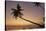 A dusk silhouette of coconut palms at Paliton beach, Siquijor, Philippines, Southeast Asia, Asia-Nigel Hicks-Stretched Canvas