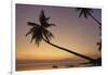 A dusk silhouette of coconut palms at Paliton beach, Siquijor, Philippines, Southeast Asia, Asia-Nigel Hicks-Framed Photographic Print