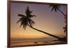 A dusk silhouette of coconut palms at Paliton beach, Siquijor, Philippines, Southeast Asia, Asia-Nigel Hicks-Framed Photographic Print