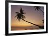 A dusk silhouette of coconut palms at Paliton beach, Siquijor, Philippines, Southeast Asia, Asia-Nigel Hicks-Framed Photographic Print